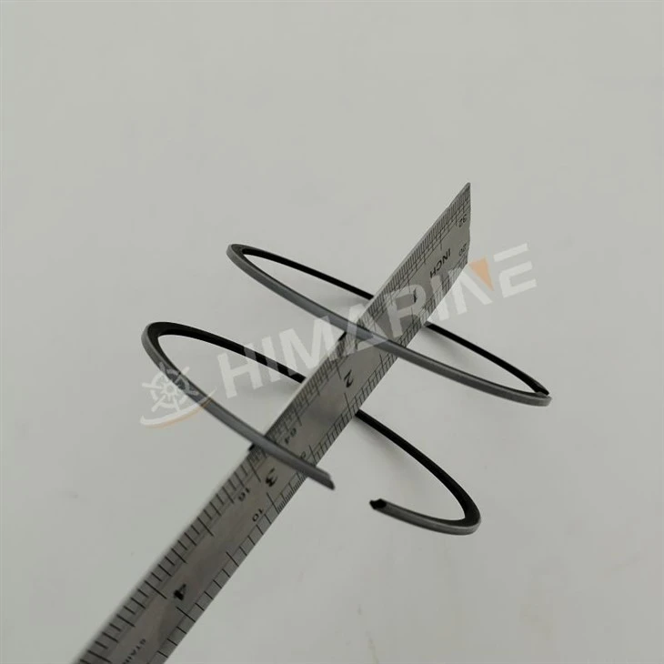 688-11603-A0-00 piston rings