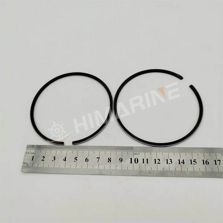 68811603A0 piston rings